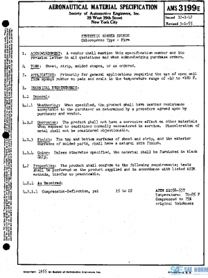 SAE AMS3199E PDF