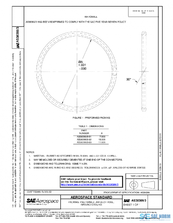 SAE AS38386/3 PDF