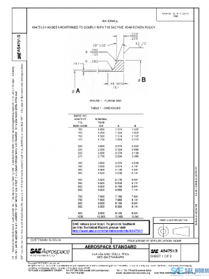 SAE AS4751/3 PDF