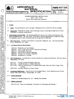 SAE AMS4873B PDF
