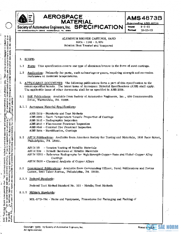 SAE AMS4873B PDF