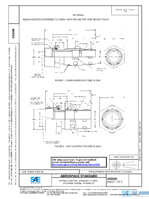 SAE AS5266 PDF