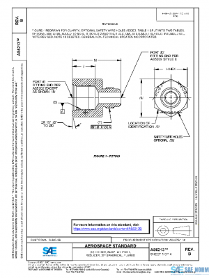 SAE AS6213B PDF