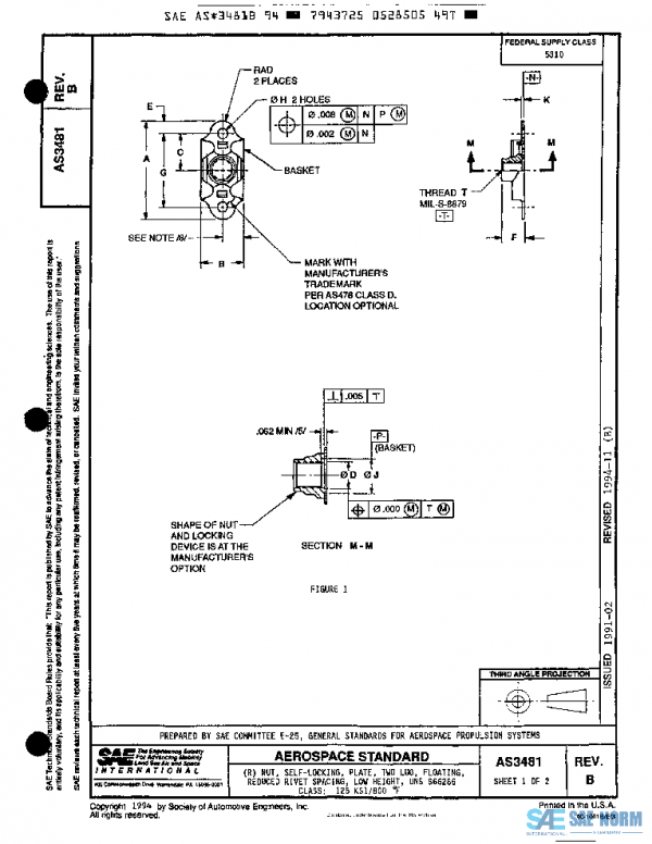 SAE AS3481B PDF