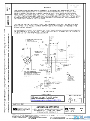 SAE AS9933A PDF