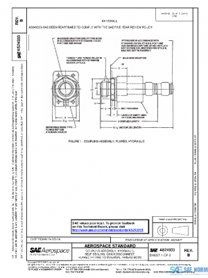 SAE AS24333B PDF