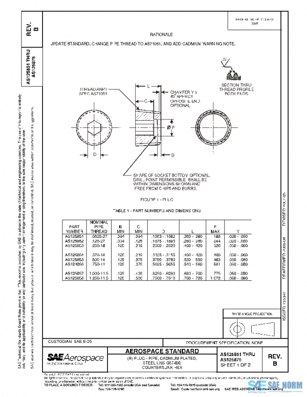SAE AS125851B PDF SAE AS125851B PDF