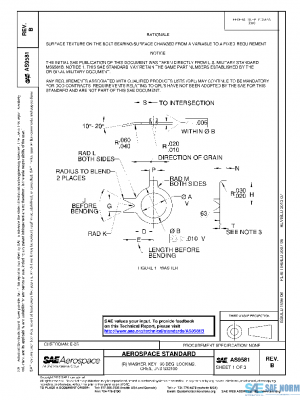 SAE AS9581B PDF