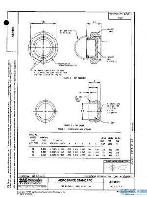 SAE AS4661 PDF
