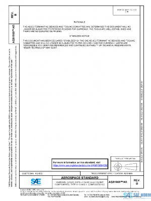 SAE AS81969/43B PDF