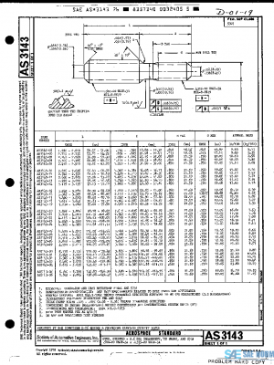 SAE AS3143 PDF