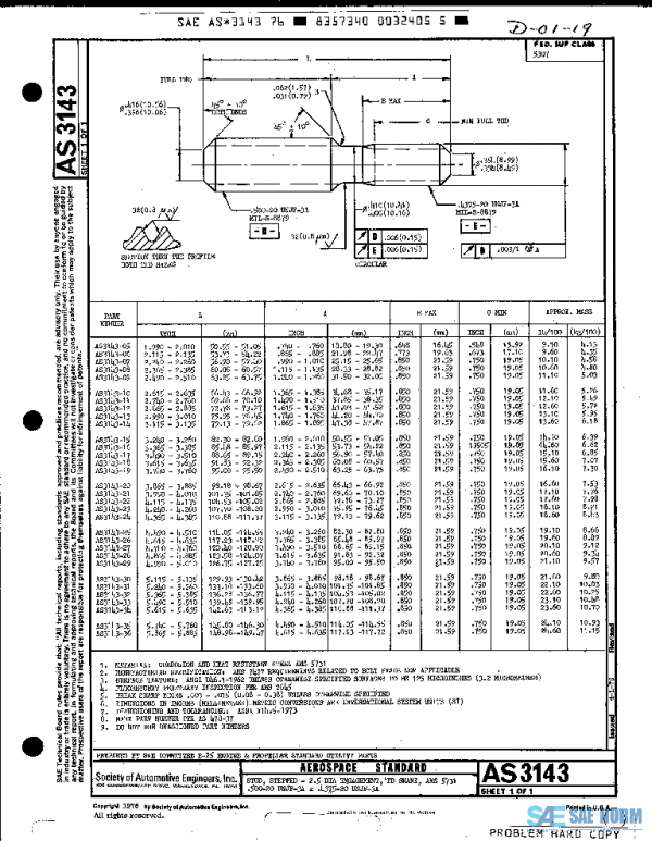 SAE AS3143 PDF