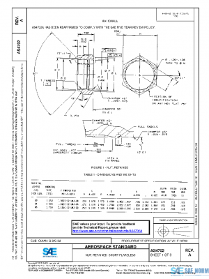 SAE AS4702A PDF