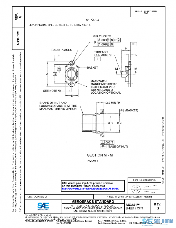 SAE AS3481G PDF SAE AS3481G PDF