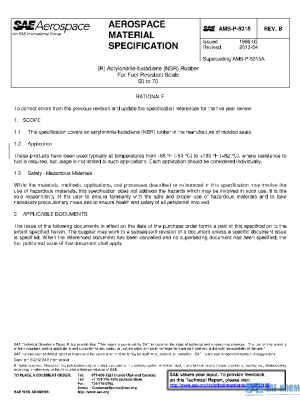 SAE AMSP5315B PDF