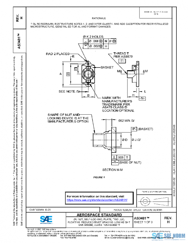 SAE AS3481H PDF
