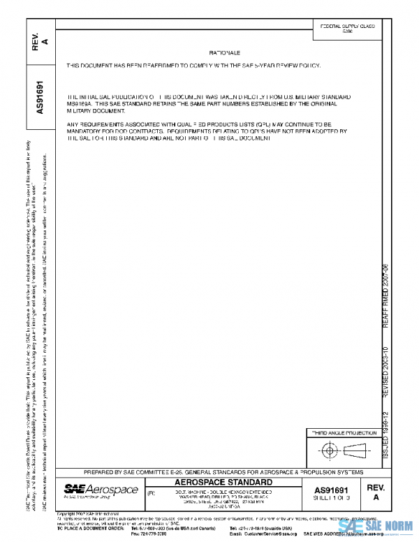 SAE AS91691A PDF