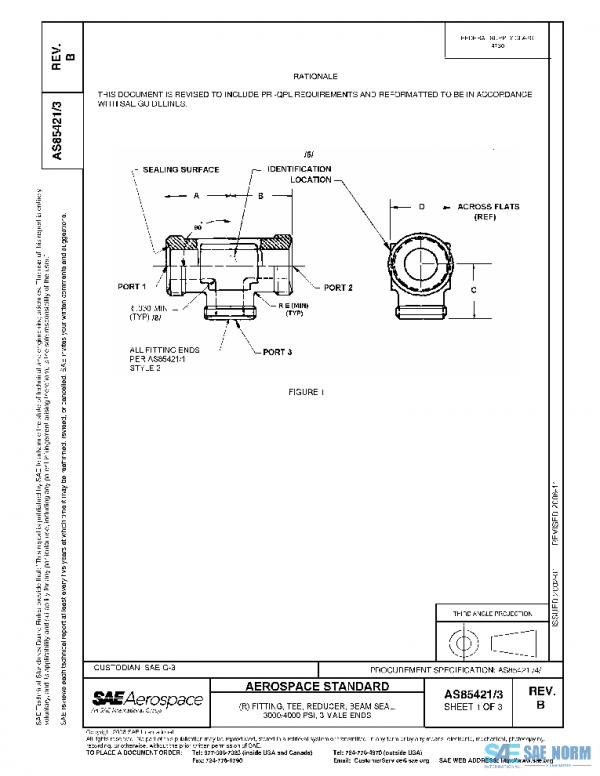 SAE AS85421/3B PDF