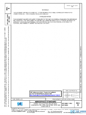 SAE AS116001B PDF