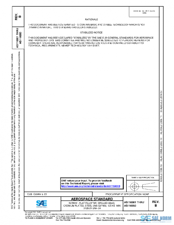 SAE AS116001B PDF