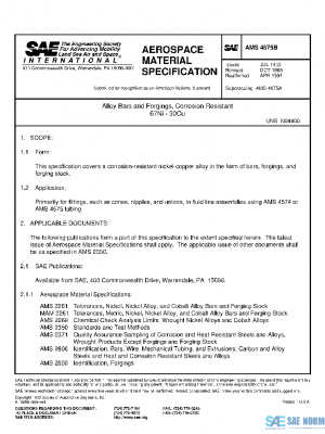 SAE AMS4675B PDF