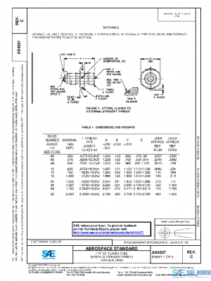 SAE AS4307C PDF