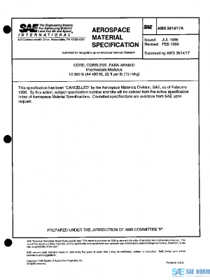 SAE AMS3814/17A PDF