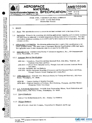 SAE AMS5689B PDF