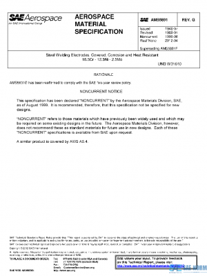 SAE AMS5691G PDF