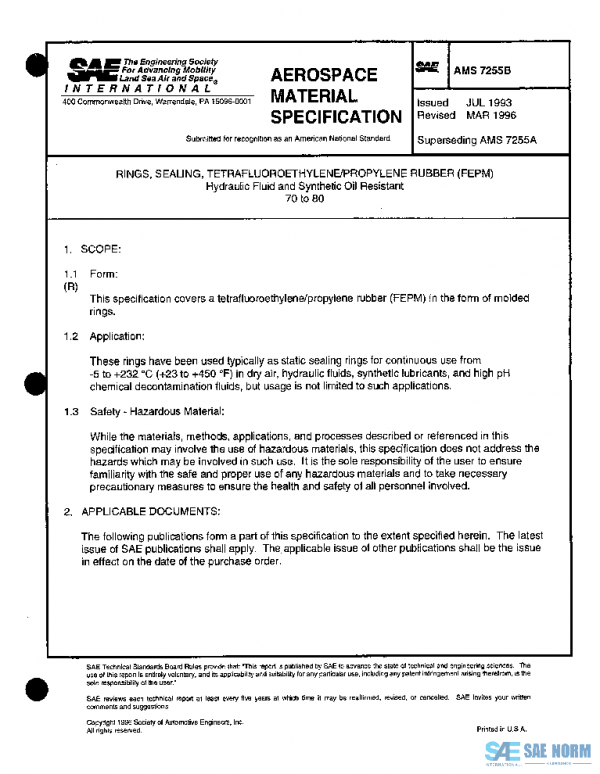 SAE AMS7255B PDF