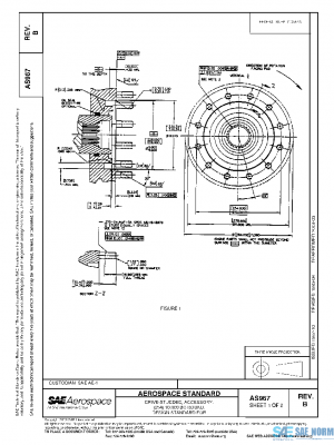 SAE AS967B PDF