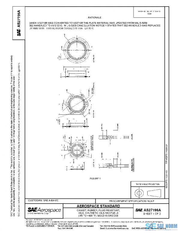 SAE AS27196A PDF