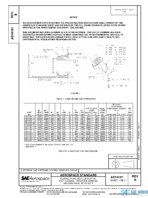 SAE AS14101B PDF