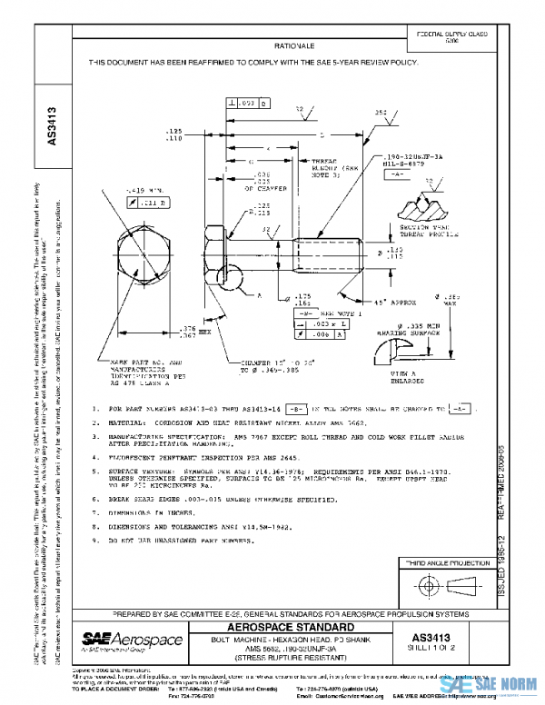 SAE AS3413 PDF