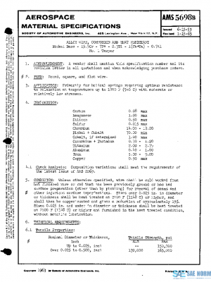 SAE AMS5698B PDF