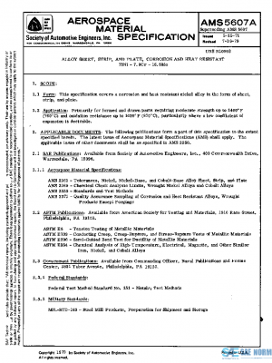 SAE AMS5607A PDF