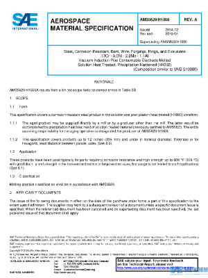 SAE AMS5629/H1000A PDF