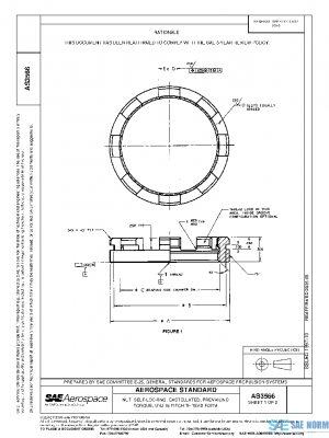 SAE AS3566 PDF