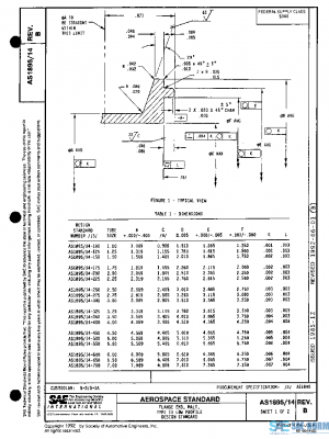 SAE AS1895/14B PDF