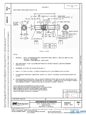 SAE AS3319C PDF
