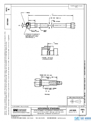 SAE AS1909B PDF