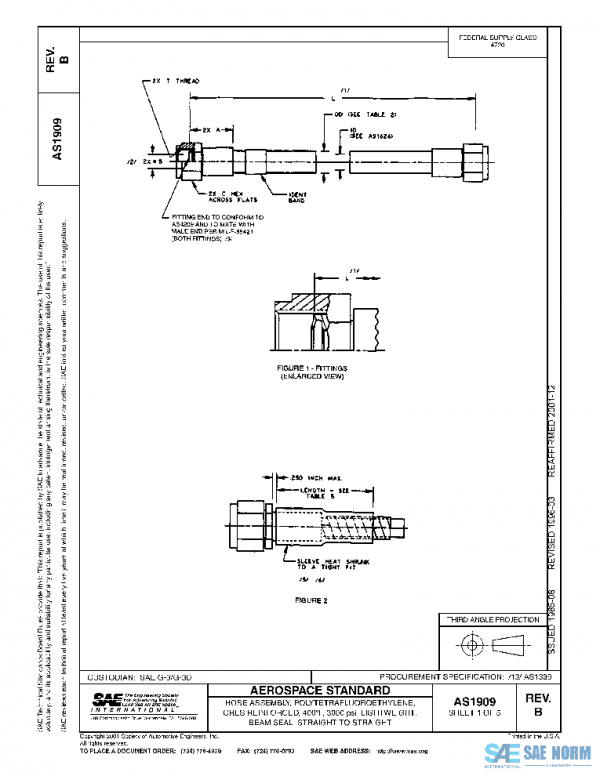 SAE AS1909B PDF