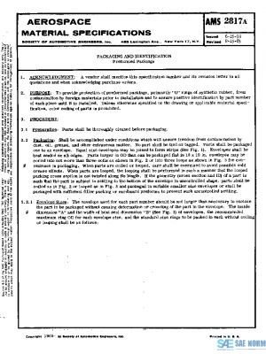 SAE AMS2817A PDF