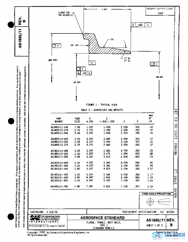 SAE AS1895/11B PDF