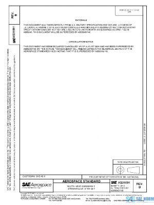 SAE AS31091B PDF