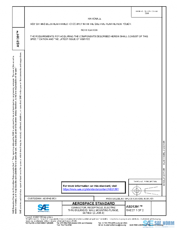 SAE AS31391 PDF