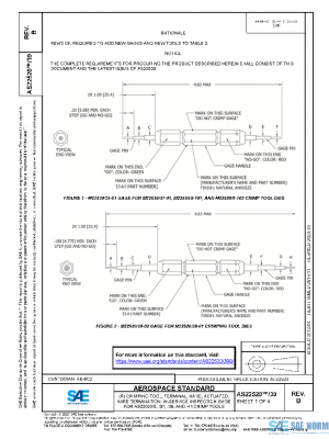 SAE AS22520/39B PDF