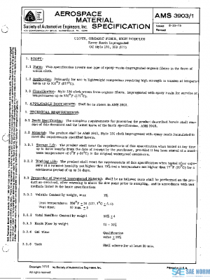 SAE AMS3903/1 PDF