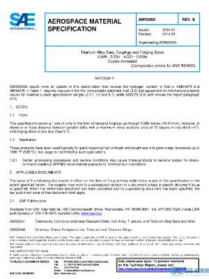 SAE AMS6905B PDF