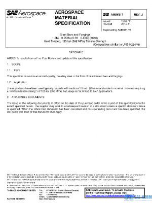 SAE AMS6317J PDF